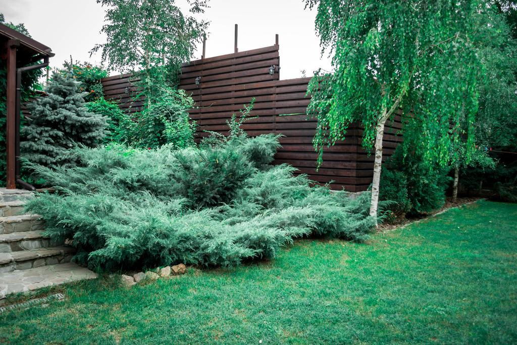 Pensiunea Bujorul Comana Zewnętrze zdjęcie